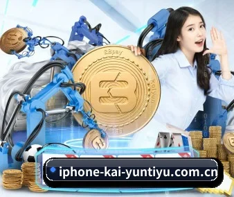 国际化进程(kaiyun)